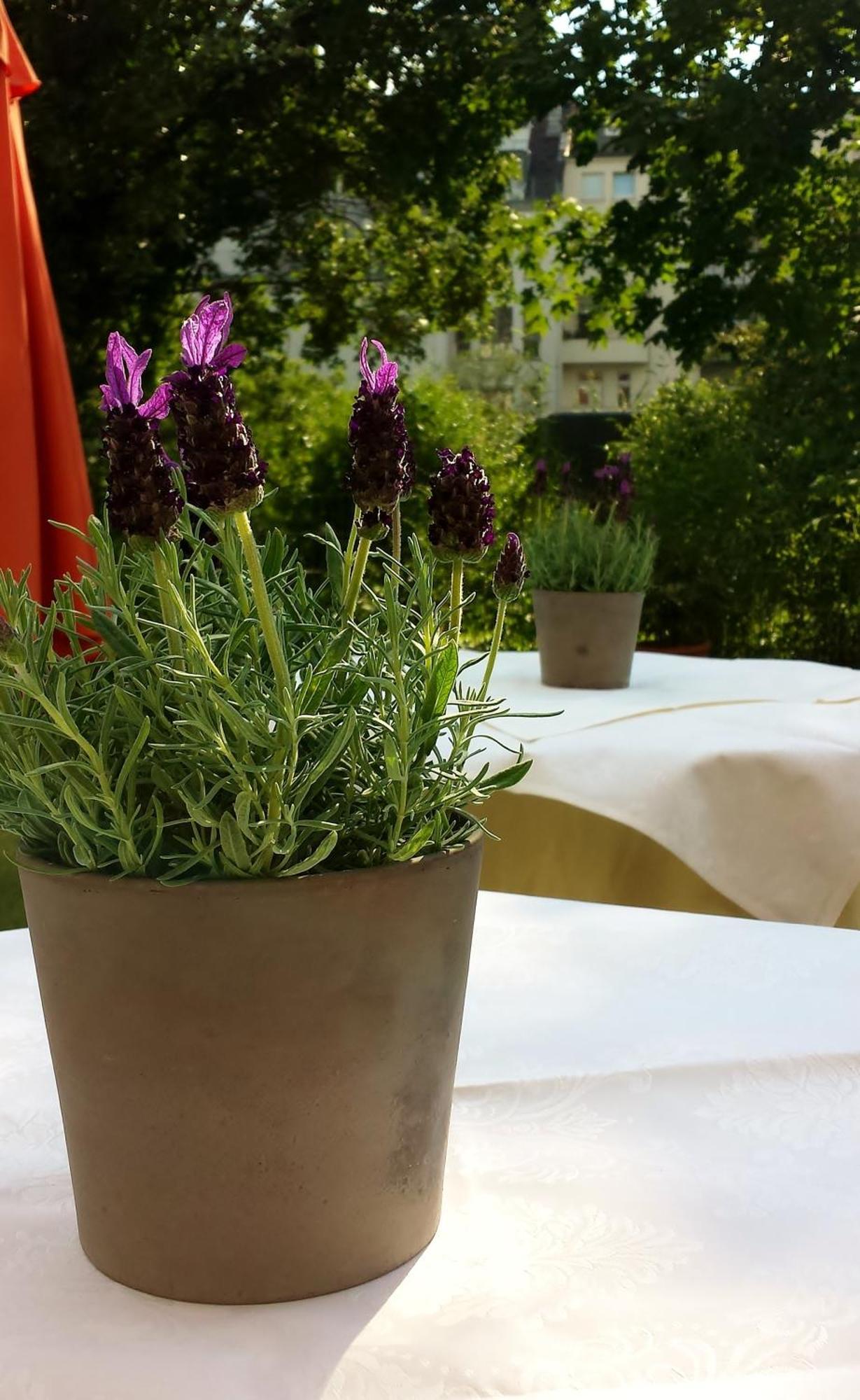 Hotel Mingarden 뒤셀도르프 외부 사진